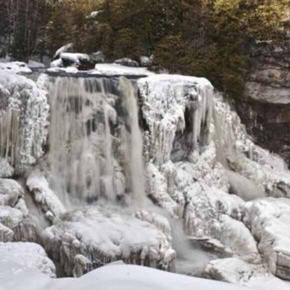 DIABLED POSHER: JG - Picture 7 of 7